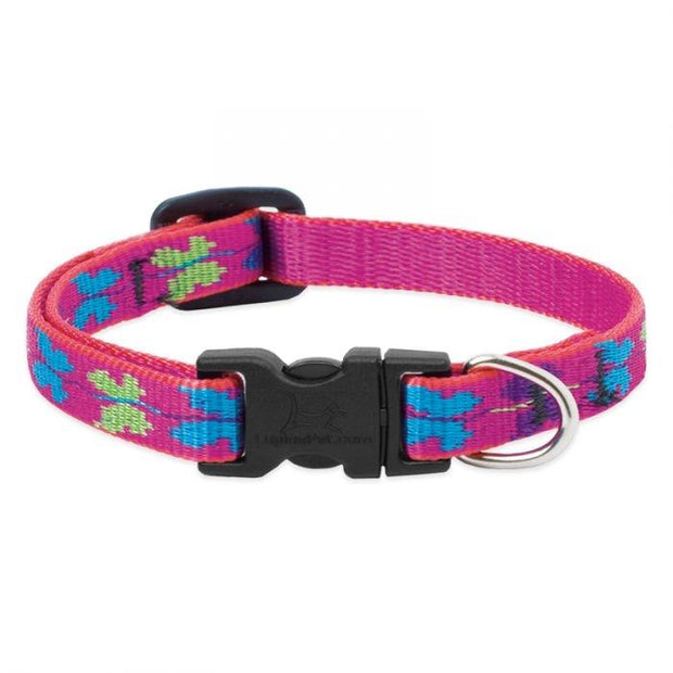 LupinePet Dog Collar and Dog Leash -Wing It- MADE IN THE USA
