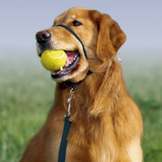 PetSafe Gentle Leader Dog Headcollar Training Tool