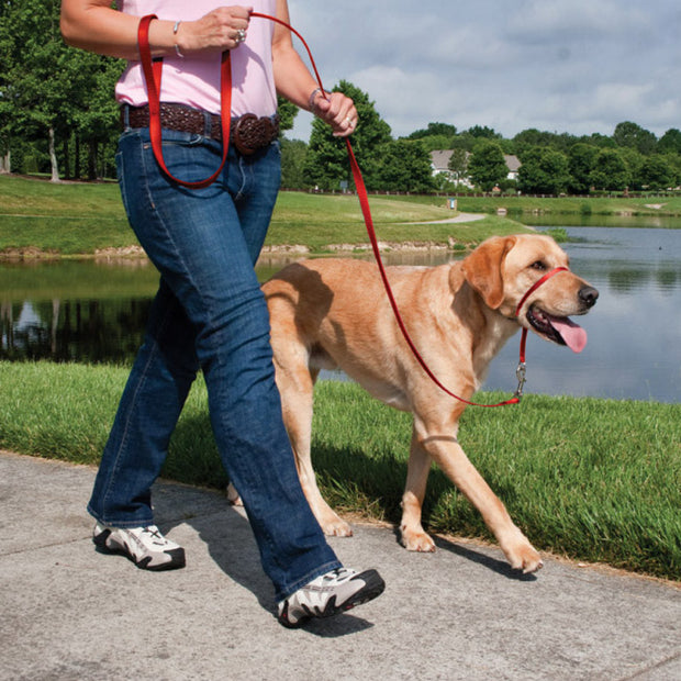 PetSafe Gentle Leader Dog Headcollar Training Tool