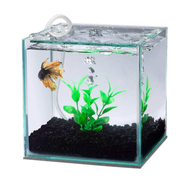 Aqueon Betta Filter with Plant - Up to 3 Gal