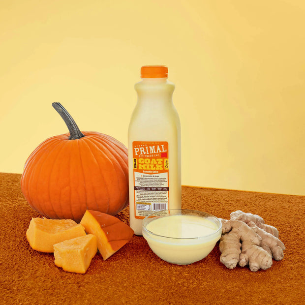 Primal Goats Milk Pumpkin Spice Recipe > Frozen (Local Delivery or Pick Up Only)