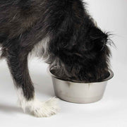 ProSelect Stainless Steel No Tip Dog Bowl