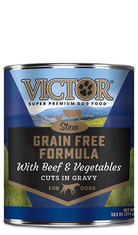 VICTOR Grain Free Beef and Vegetables Stew Cuts in Gravy Canned Dog Food