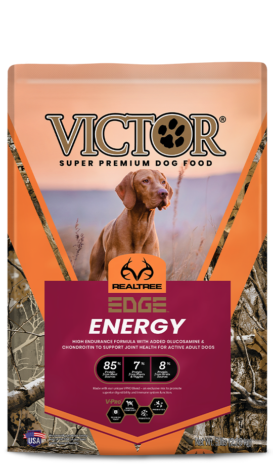 VICTOR Realtree Edge Energy Dog Food