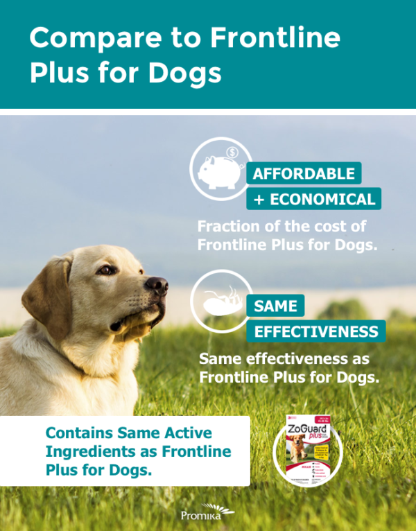 ZoGuard Plus Flea Tick Prevention 3 Month Protection Dogs