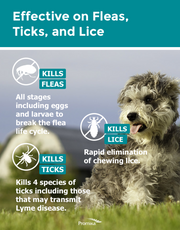 ZoGuard Plus Flea + Tick Prevention - 3 Month Protection - Dogs